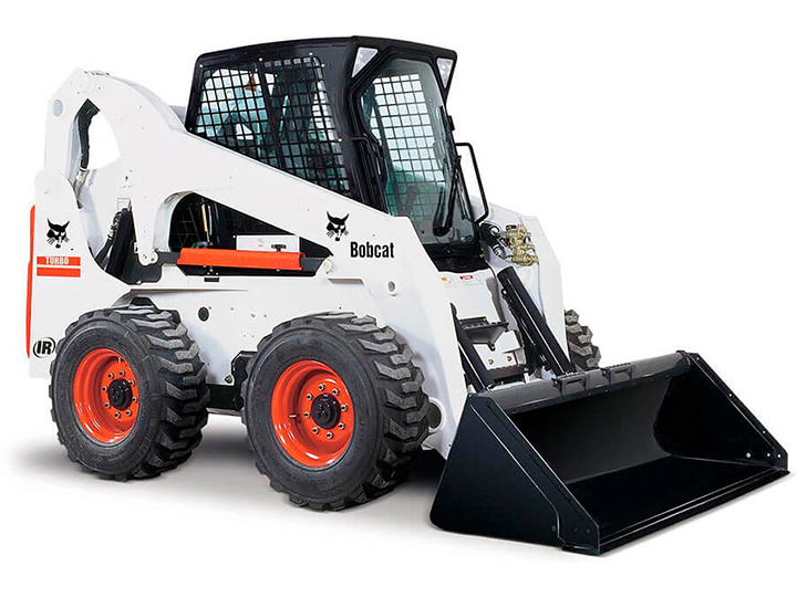 Bobcat